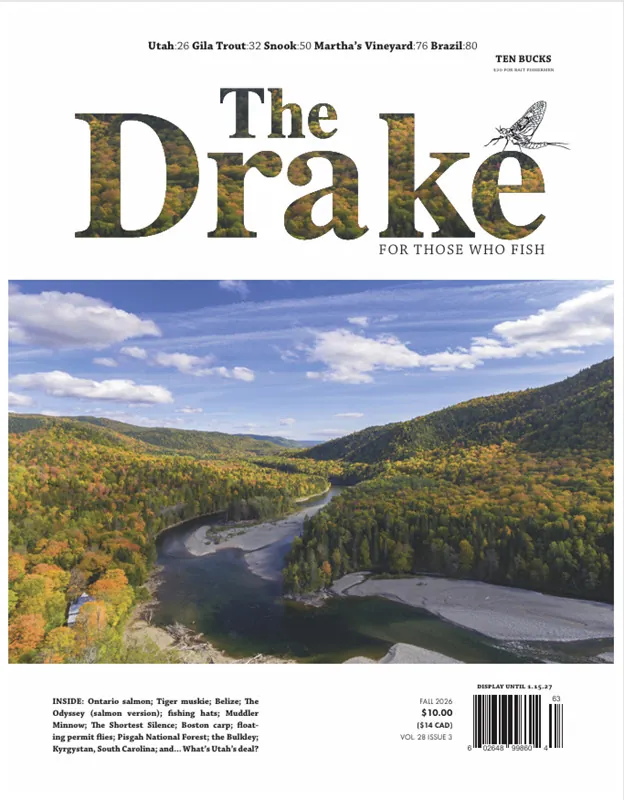 THE DRAKE
