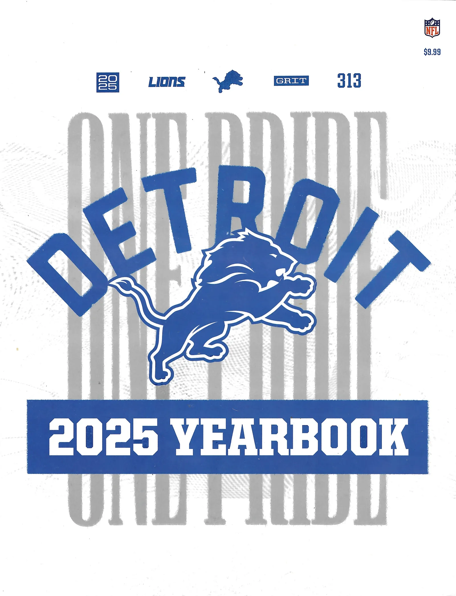 DETROIT LIONS YEARBOOK